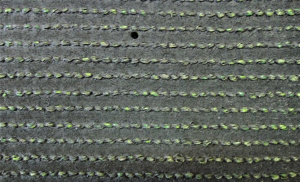 Трава искусственная Pelegreen 50 мм
